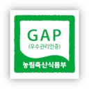 GAP 인증